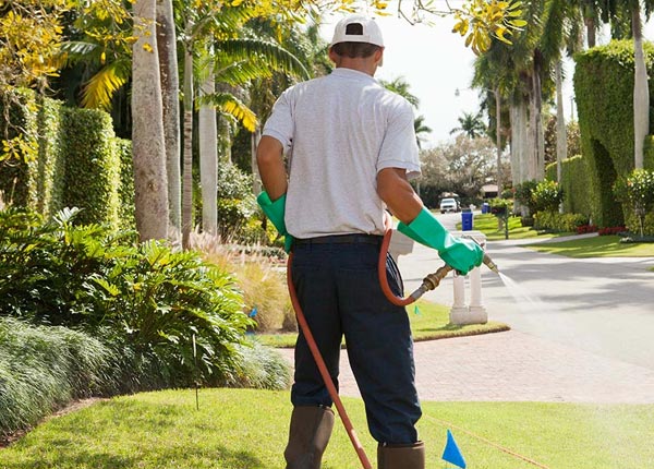 About Metamora MI Pest Control